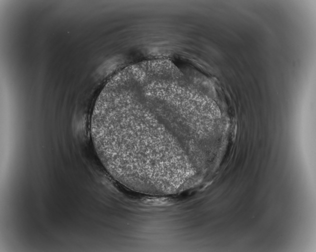 X0000086270428200704262020