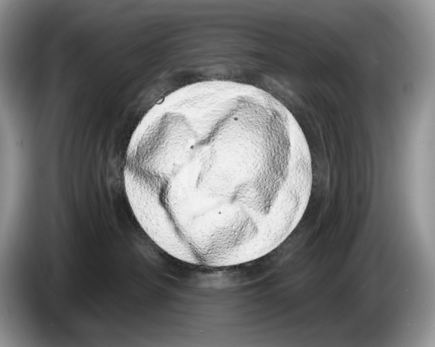 X0000086270430200704262020