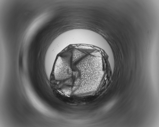 X0000086270431200704262020