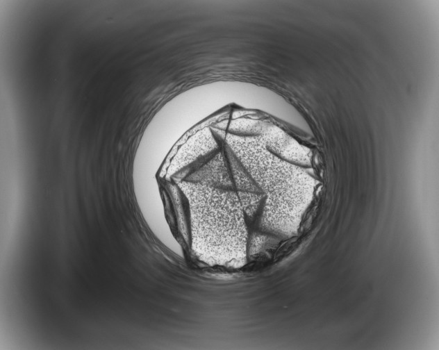 X0000086270432200704262020