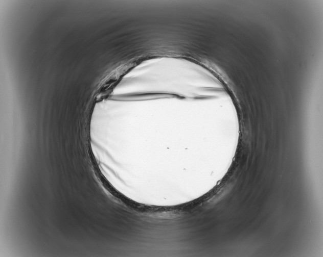X0000086270433200704262019