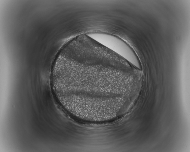 X0000086270434200704262019