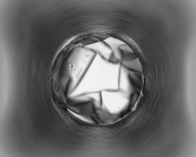 X0000086270436200704262019