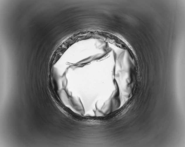 X0000086270437200704262019