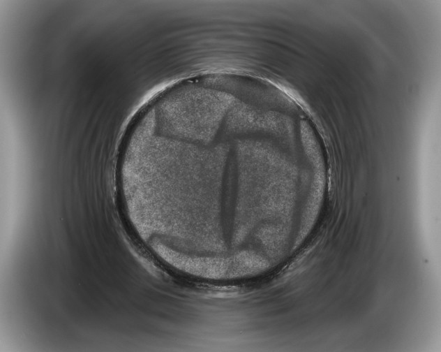X0000086270438200704262019