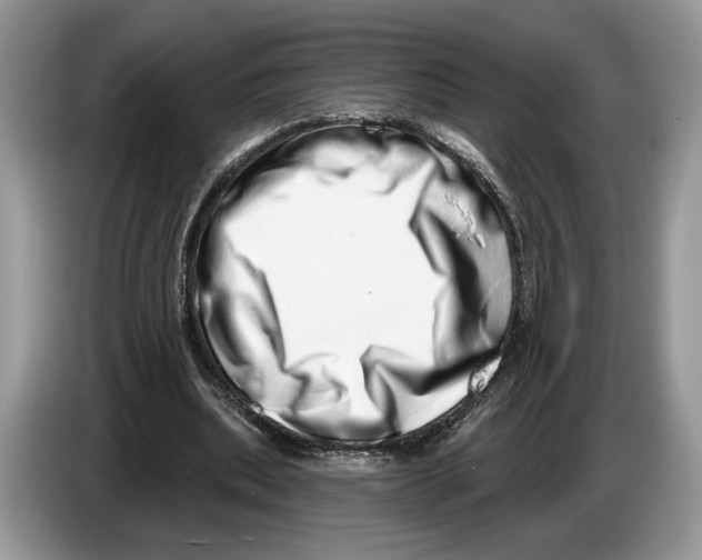 X0000086270439200704262019