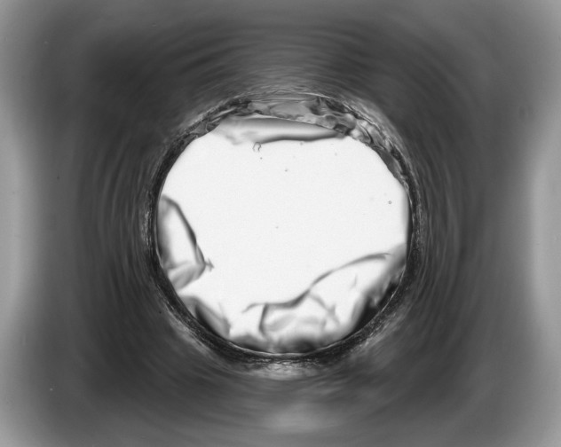 X0000086270441200704262019