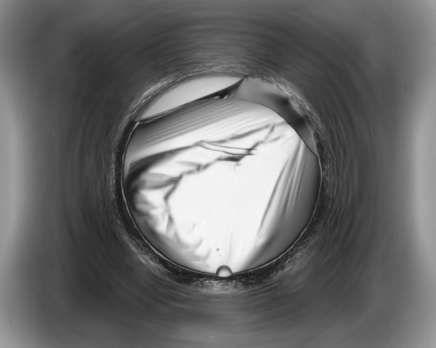 X0000086270442200704262019
