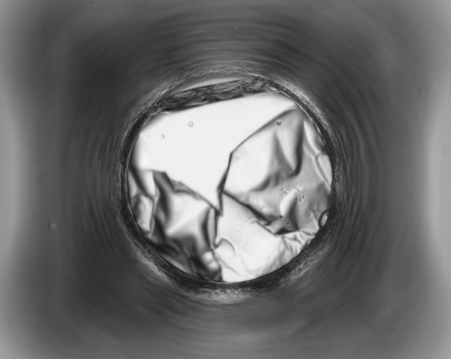 X0000086270445200704262019