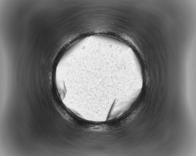 X0000086270447200704262019