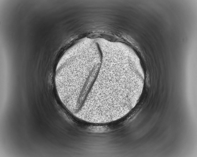 X0000086270449200704262019