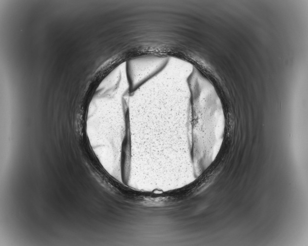X0000086270450200704262019