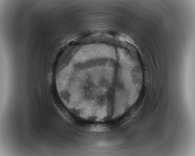 X0000086270451200704262019