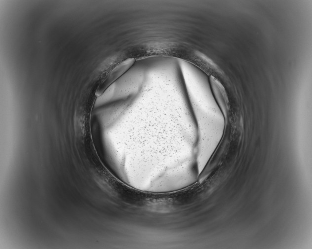 X0000086270452200704262019