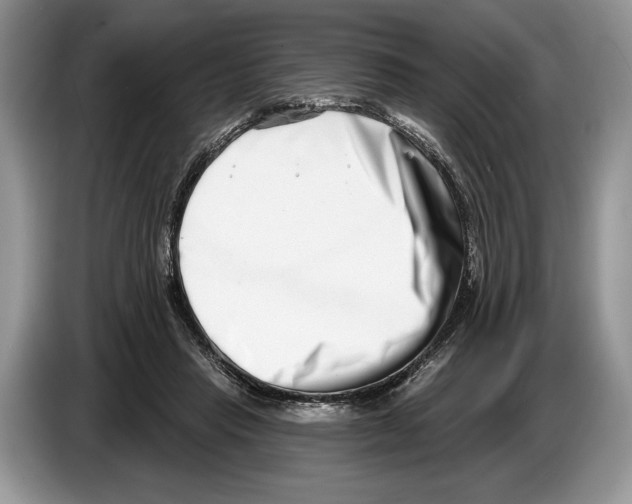 X0000086270453200704262019