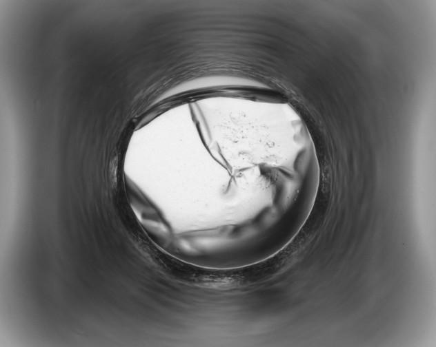 X0000086270454200704262019