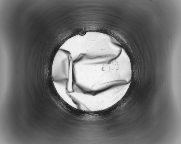 X0000086270455200704262020