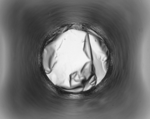 X0000086270457200704262020