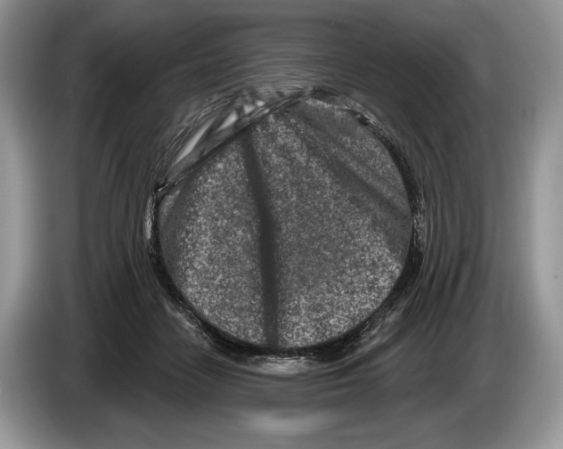 X0000086270458200704262020