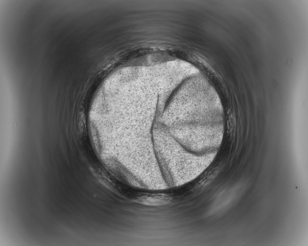 X0000086270459200704262020