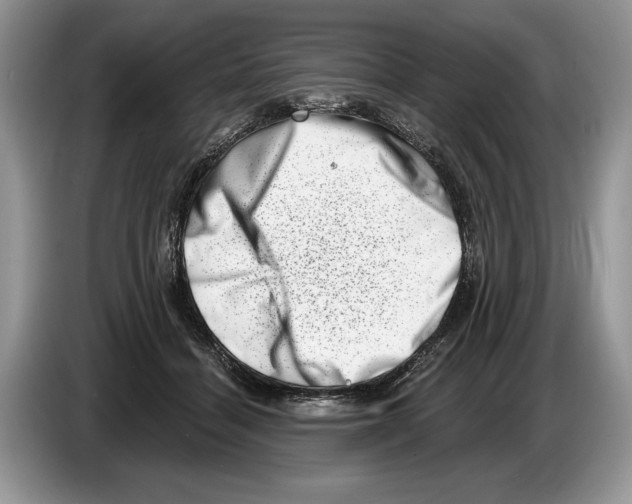 X0000086270460200704262020