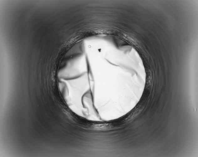 X0000086270461200704262020
