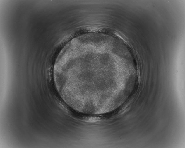 X0000086270462200704262020