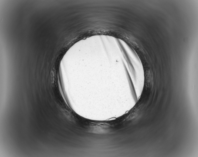 X0000086270463200704262020