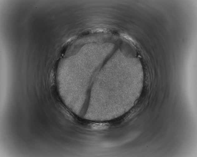 X0000086270465200704262020