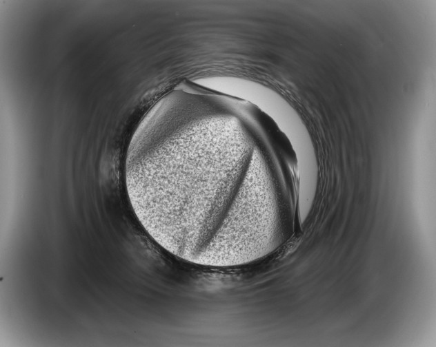 X0000086270466200704262020