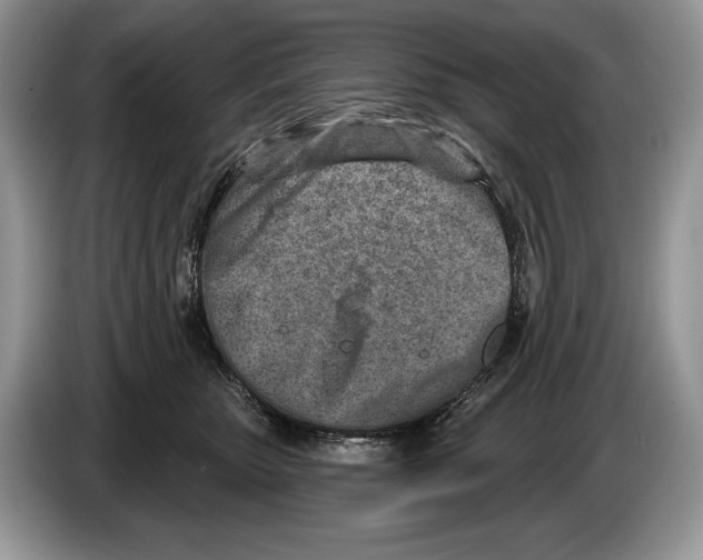 X0000086270467200704262020