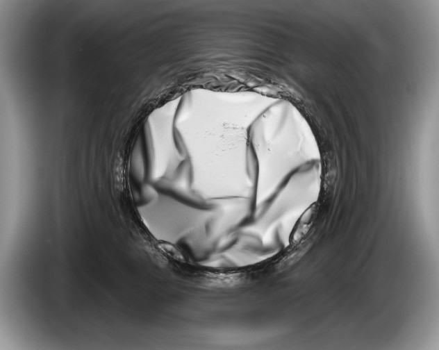 X0000086270469200704262020