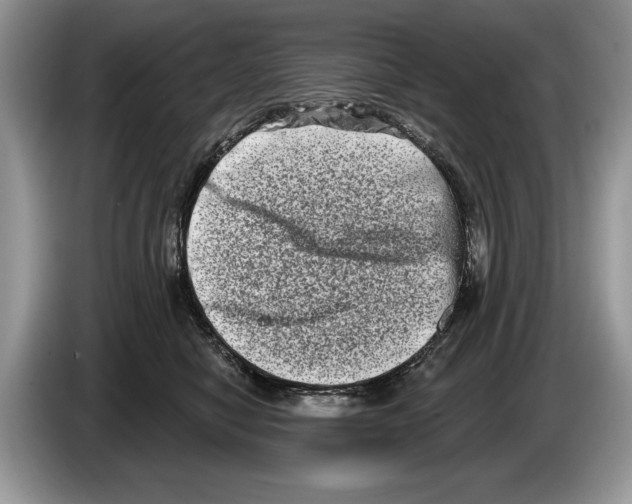 X0000086270470200704262020