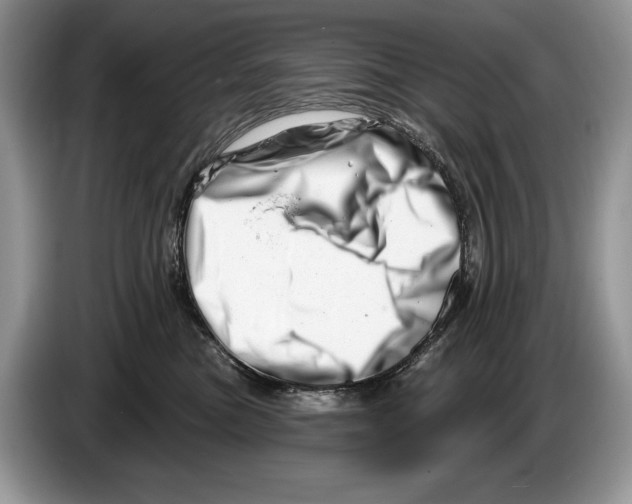 X0000086270473200704262020