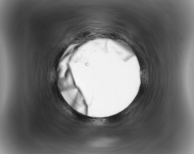 X0000086270474200704262020