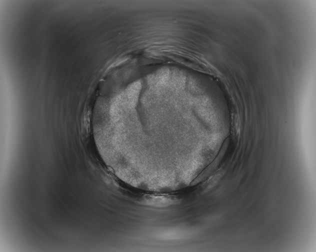 X0000086270475200704262020