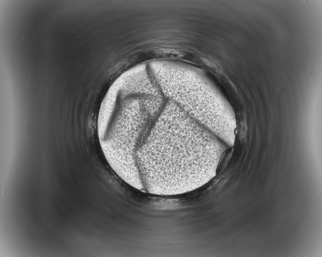 X0000086270476200704262020