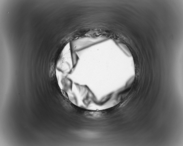 X0000086270478200704262020