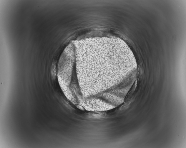 X0000086270479200704262020