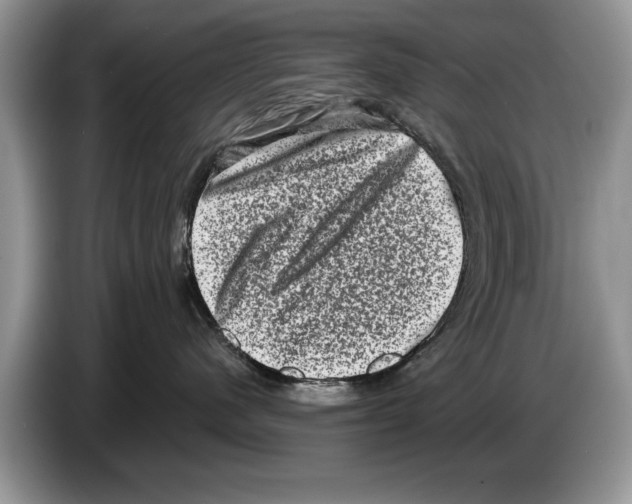 X0000086270480200704262020