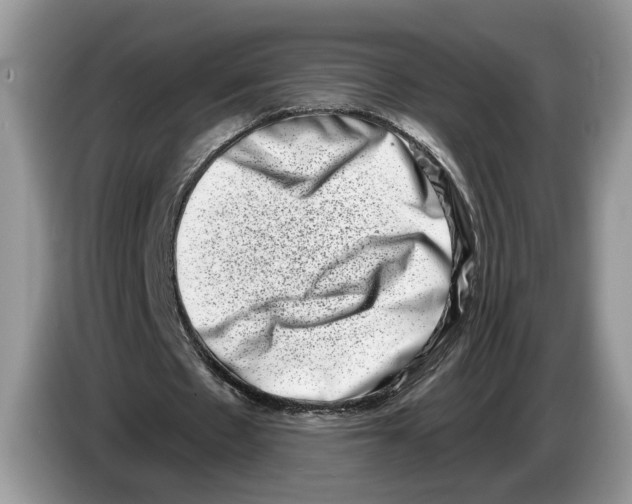 X0000086270481200704262019