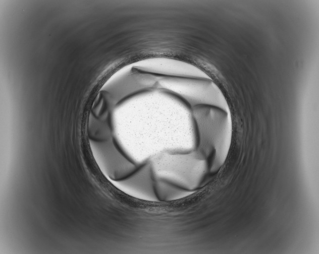 X0000086270482200704262019