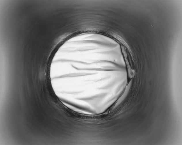 X0000086270483200704262019