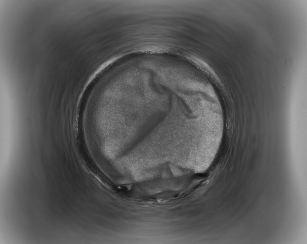 X0000086270484200704262019