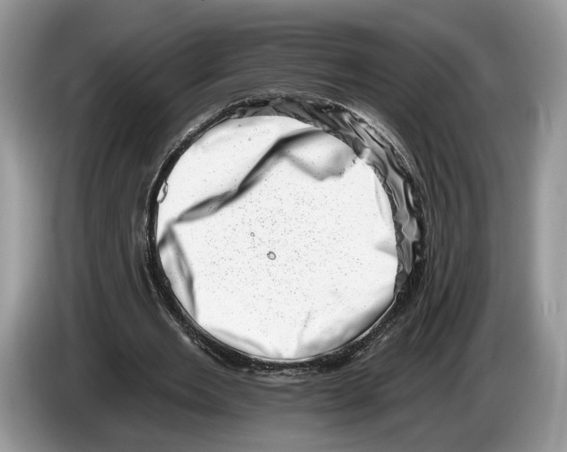 X0000086270485200704262019