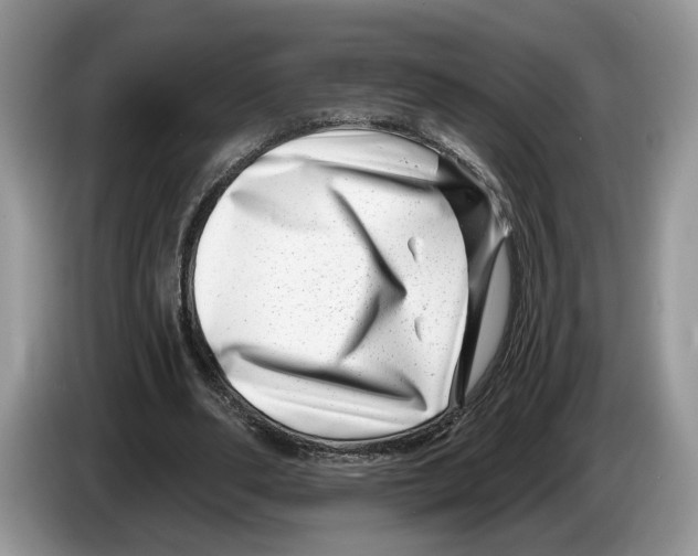 X0000086270486200704262019