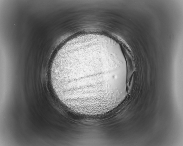 X0000086270487200704262019