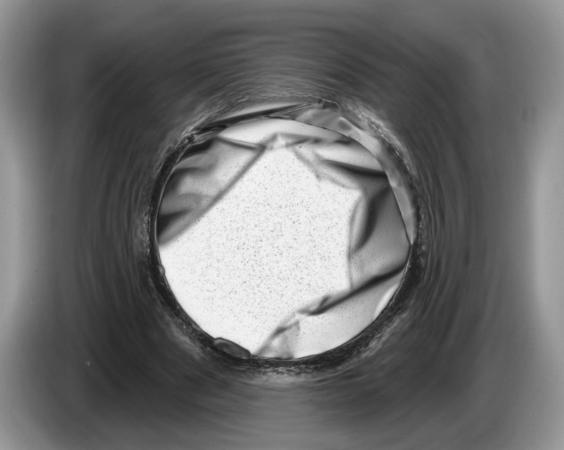 X0000086270489200704262019