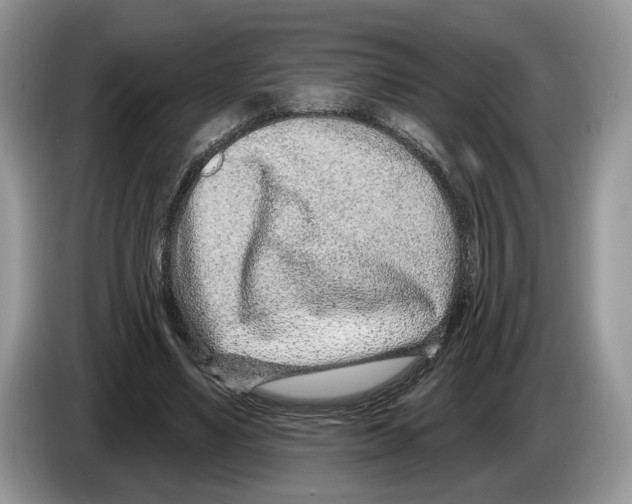 X0000086270491200704262019