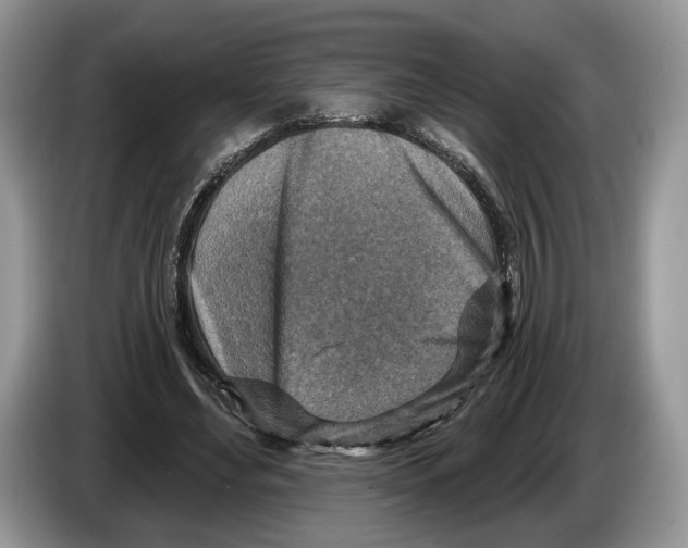 X0000086270492200704262019